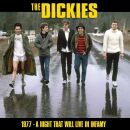 Dickies - 1977 / 1982 A Night That Will Live In Infamy...