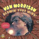 Morrison Van - Blowin Your Mind
