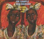 Sample Joe / NDR Big Band - Children Of The Sun