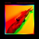 Njoku Tony - Your Psyches Rainbow Panorama