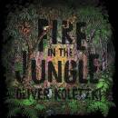 Koletzki Oliver - Fire In The Jungle