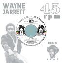 Jarrett Wayne & Roots Radics - Love In A Mi Heart...