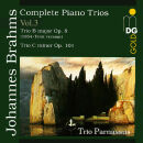 Brahms Johannes - Complete Piano Trios: Vol.3 (Trio...