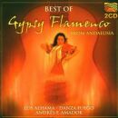 Best Of Gypsy Flamenco Andalus (Diverse Interpreten)