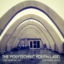 They Make No Say: A Polytechnic Youth Record