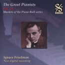 Diverse Komponisten - Great Pianists: Vol.14, The (Ignace...