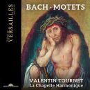 Bach Johann Sebastian - Motets (La Chapelle Harmonique -...