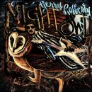 Rafferty Gerry - Night Owl (2023 Remaster)