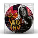 Crow Sheryl - Story Of Everthing (Picture Vinyl)