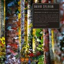 Sylvian David - Do You Know Me Now? (Ltd. 10 CD Boxset)