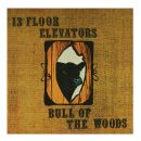 13th Floor Elevators, The - Bull Of The Woods