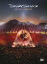 Gilmour David - Live At Pompeii