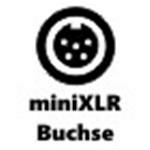 5-Pin miniXLR Buchse