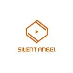 Thunder Data / Silent Angel Logo