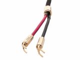 McIntosh Speaker Cable (Kabelschuh, 3 Meter)