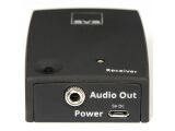 SVS SoundPath Wireless Audio Adapter