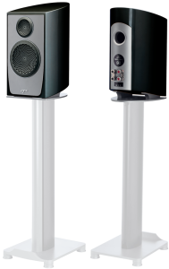 Paradigm Persona B (Vanta Black Gloss)