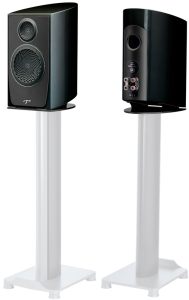 Paradigm Persona B (Carbon Black Gloss)