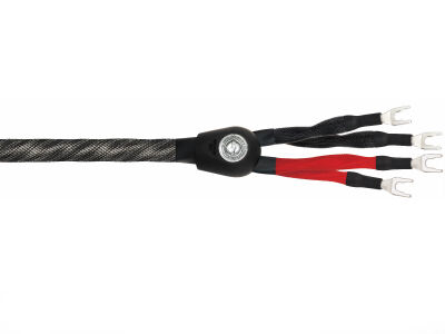 WireWorld Silver Eclipse 8 Speaker (Bi-Wire, Kabelschuh, 2,0 Meter)