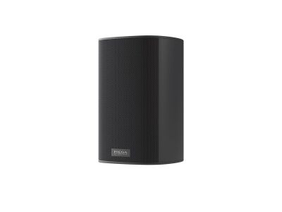 Piega ACE 30 Wireless RX (Schwarz eloxiert)