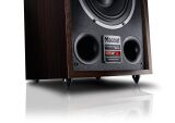 Magnat Transpuls 800A (Dark Wood)