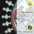 Beethoven Ludwig van - Symphonies Nos. 1, 2 & 8...