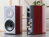 Audiovector R 1 Arreté (Rosenholz)