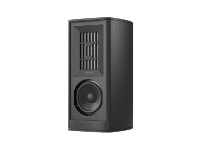 Piega COAX 411 (Schwarz eloxiert)