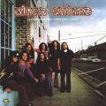 Lynyrd Skynyrd - Pronounced Leh-nerd Skin-nerd (45rpm)