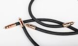 Audioquest RCA Black Beauty (2.0 Meter Stereo)