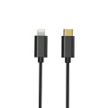 FiiO LT-LT4 USB-C auf Lightning OTG Kabel (Länge 50cm)