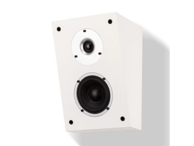 Wilson Raptor X (Weiss)