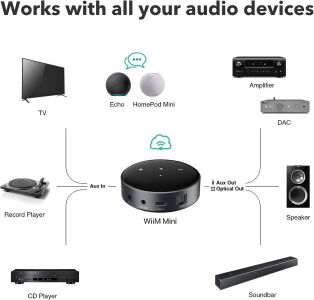 WiiM Mini Schwarz - WiFI High-Resolution Audio Streamer WiiM Mini Schwarz - WiFI High-Resolution Audio Streamer