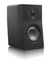 SVS Ultra Evolution Nano (Black Oak)