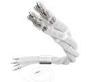 Inakustik Referenz LS-8005 AIR Pure Silver (2x3 Meter Single-BiWire)