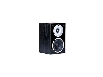 Wilson Raptor Mini (Schwarz)