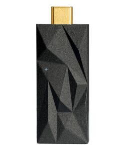 SilentPower by iFi iSilencer Max (Schwarz)