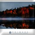 Primare: The Sound Of Primare Vol. 1 (Diverse Interpreten...