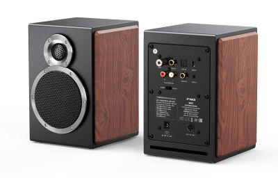 FiiO SA1 (Schwarz/Holz)