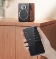FiiO SA1 (Schwarz/Holz)
