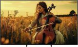 SONY K75XR59BP (Schwarz)