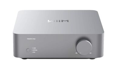 WiiM Vibelink Amp (Silber)