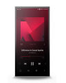 Astell & Kern PD10 (Silber)