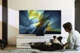 Samsung QE65S95F (Schwarz)
