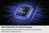 Samsung QE65S95F (Schwarz)