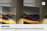 Samsung QE65S95F (Schwarz)