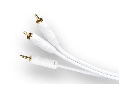 Cambridge Audio AUD100 (2x RCA -> 3.5mm Jack, 2.0 Meter)