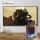 Panasonic TV-55W93BE7 (Silber)
