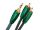 AudioQuest RCA/Jack Evergreen (3.5mm to RCA/ 2.0 Meter)