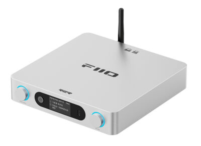 FiiO BR15 R2R (Silber)